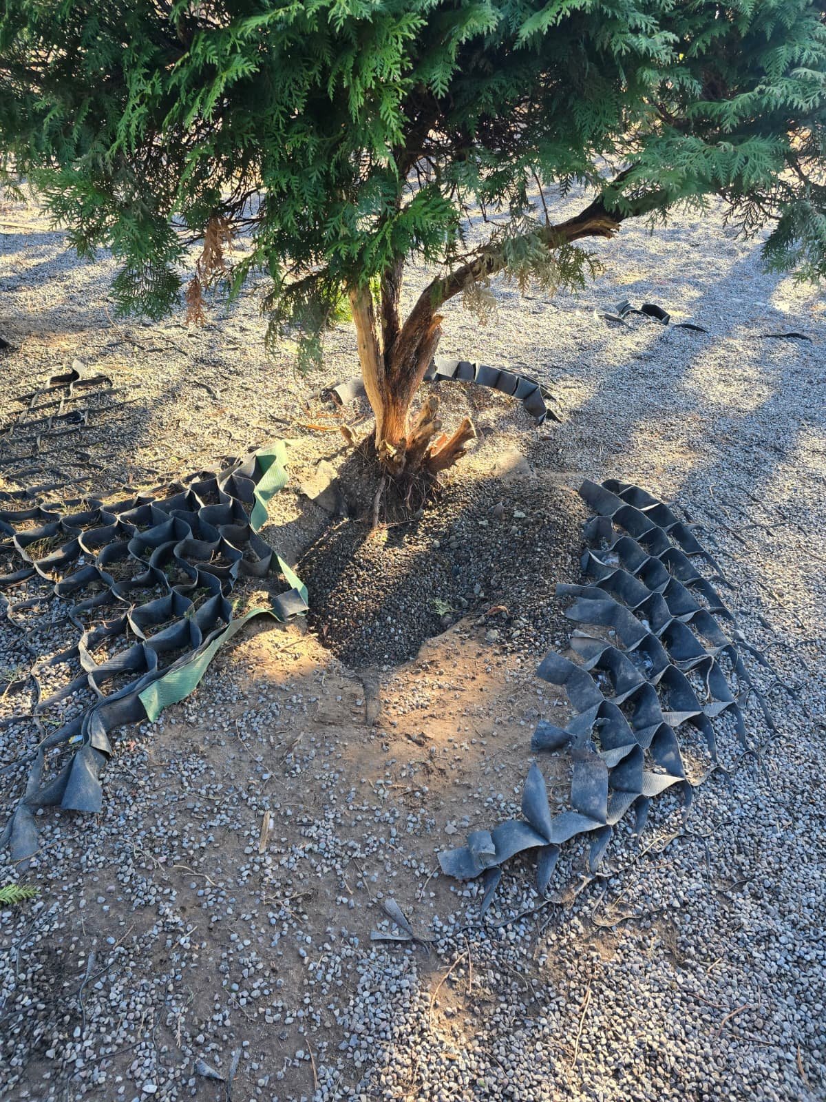 Before heavy soil restoration